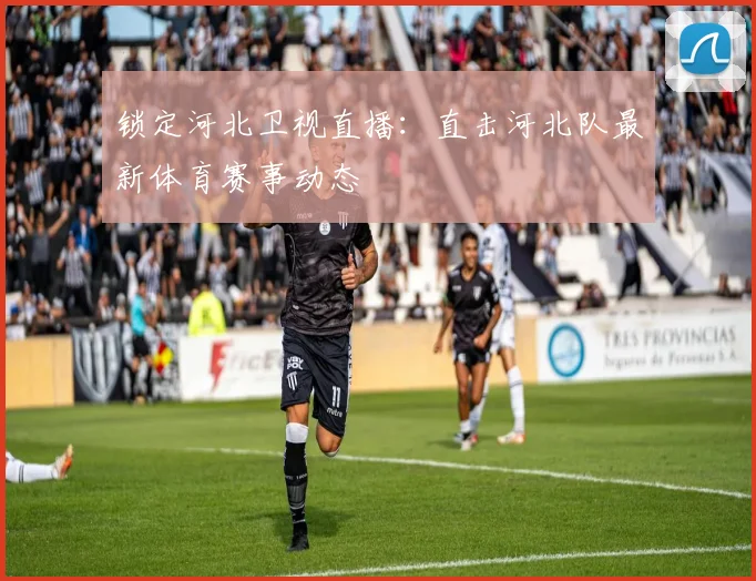 锁定河北卫视直播：直击河北队最新体育赛事动态