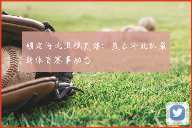 锁定河北卫视直播：直击河北队最新体育赛事动态