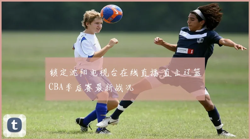 锁定沈阳电视台在线直播 直击辽篮CBA季后赛最新战况