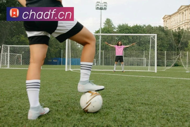 奇异果网页版品牌故事