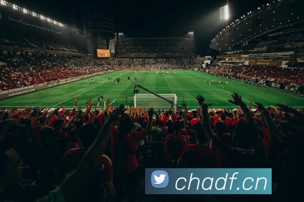 奇异果网页版服务体系